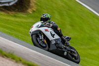 PJ-Motorsport-2019;anglesey;brands-hatch;cadwell-park;croft;donington-park;enduro-digital-images;event-digital-images;eventdigitalimages;mallory;no-limits;oulton-park;peter-wileman-photography;racing-digital-images;silverstone;snetterton;trackday-digital-images;trackday-photos;vmcc-banbury-run;welsh-2-day-enduro